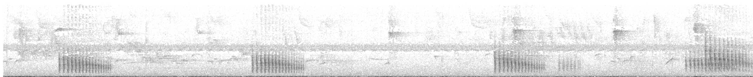 Graurücken-Dickichtschlüpfer - ML133924171