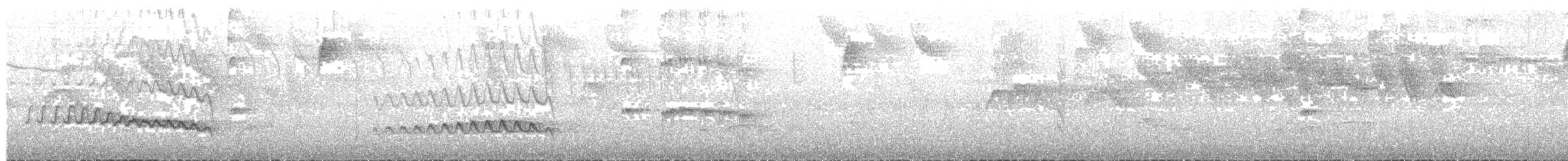 Кокоа плямистий - ML133924651