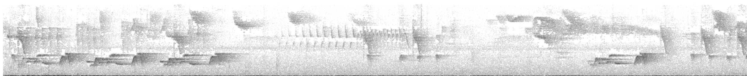 Серогрудый крапивник - ML133924731