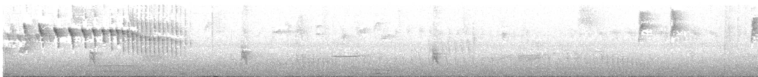 rødhettestifthale - ML133925471