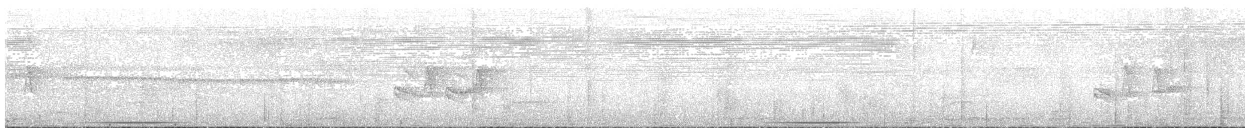 holub bledoprsý - ML133927481