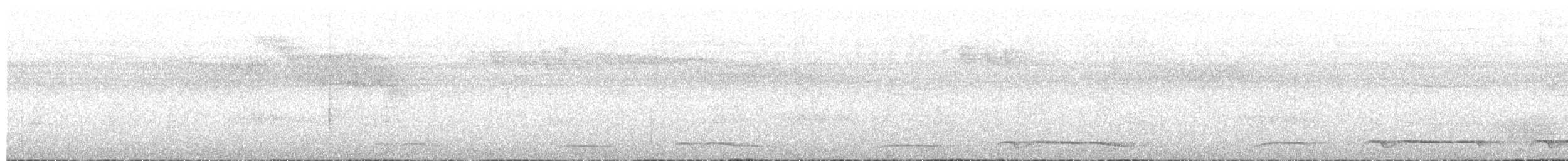 svarthaleketsal - ML133930471