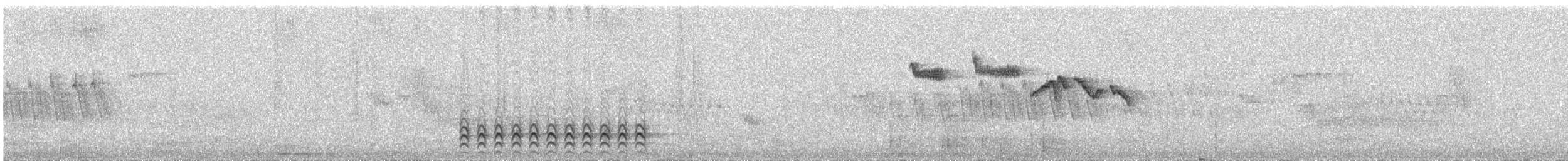 Weißbrustkleiber [lagunae-Gruppe] - ML133953851