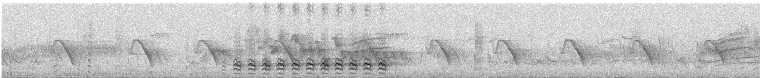 hvitbrystspettmeis (lagunae gr.) - ML133954901