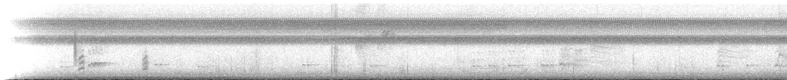 Nutting's/Salvadoran Flycatcher - ML133984881