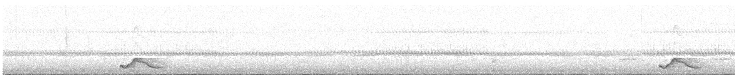 Pauraquenachtschwalbe - ML133990061