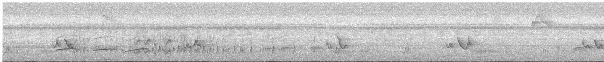 Тиран-крихітка світлогорлий - ML133999321