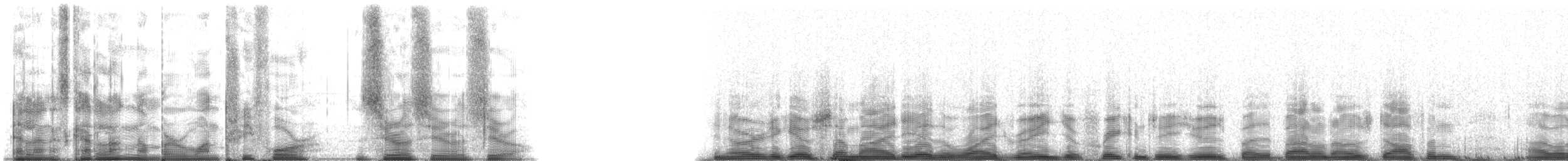 Common Bottlenose Dolphin - ML134000