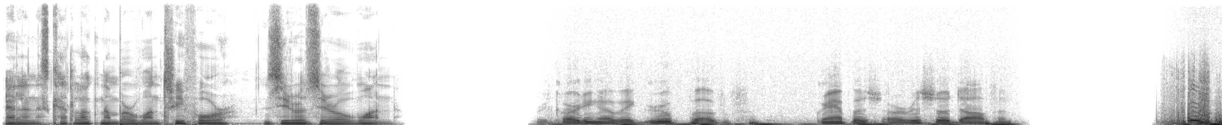 Risso's Dolphin - ML134001