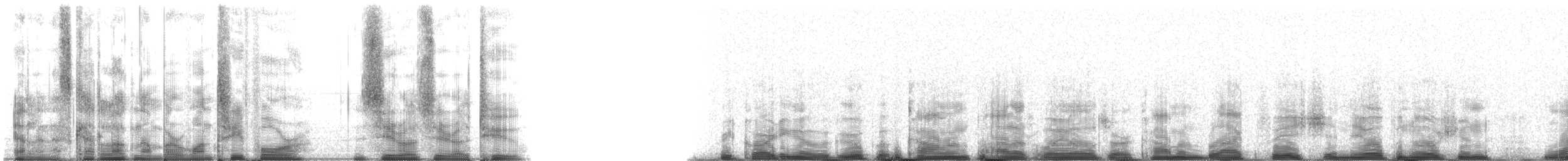 Long-finned Pilot Whale - ML134002