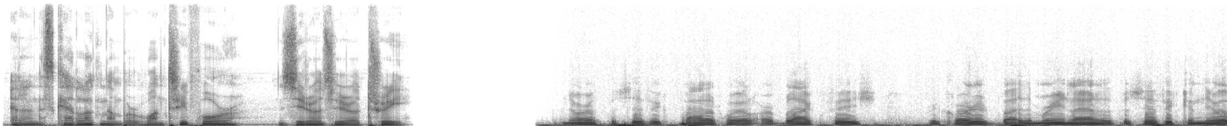 Pilot Whales - ML134003