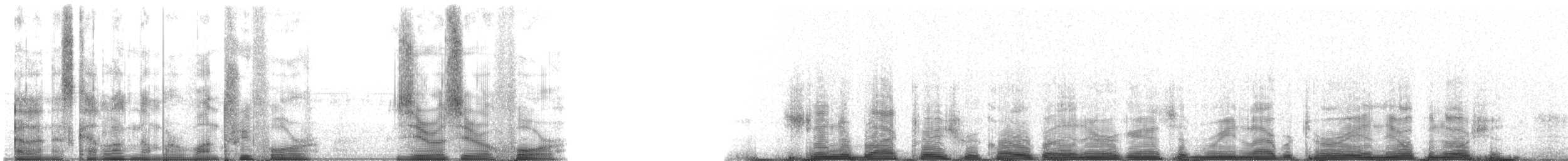 Pilot Whales - ML134004