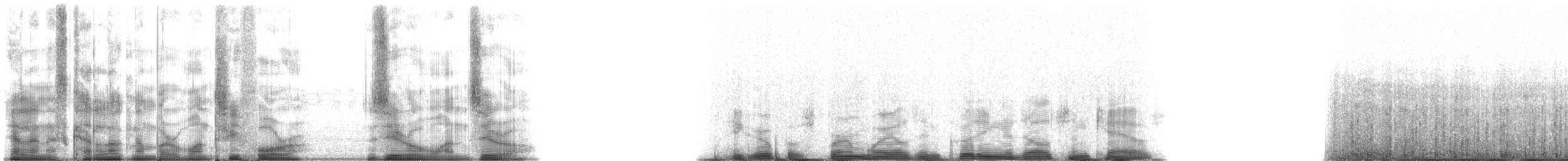 Sperm Whale - ML134010