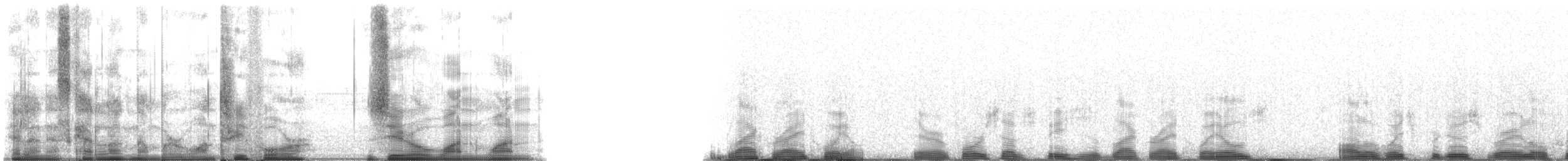 North Atlantic Right Whale - ML134011