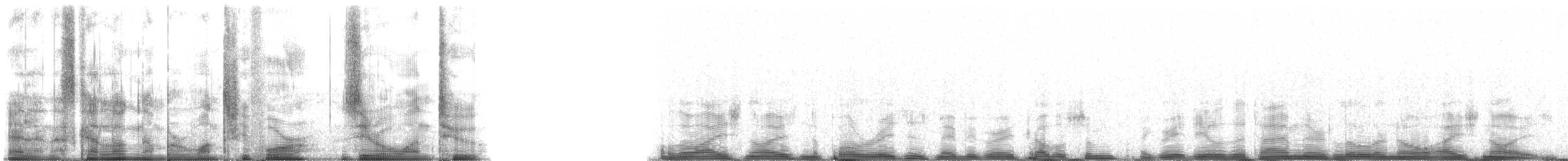 bowhead whale - ML134012