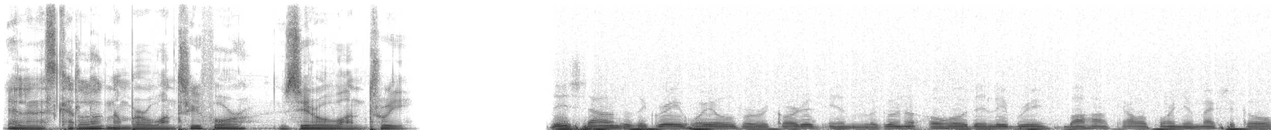 Grey Whale - ML134013