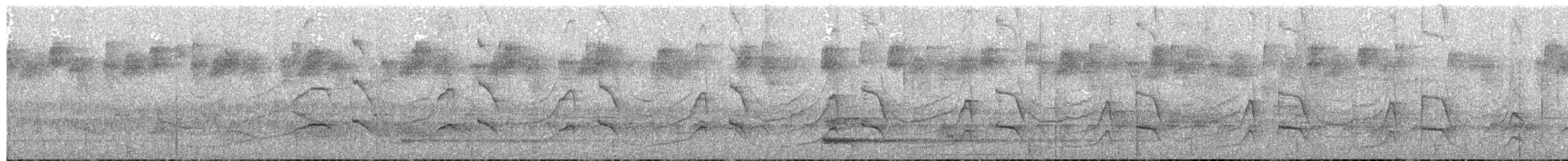 Weißkehl-Baumsteiger - ML134013651