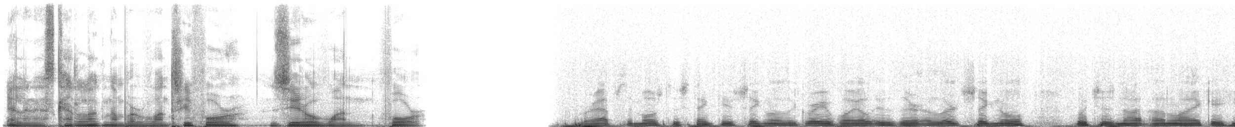 Grey Whale - ML134014