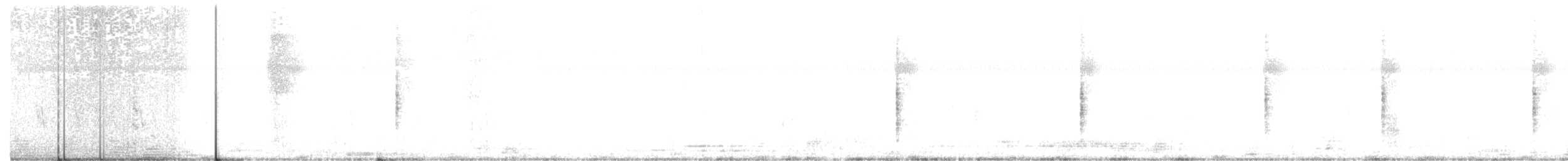 stentorsanger - ML134112721