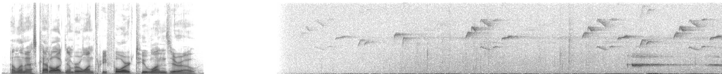 Прямоклювый колибри-отшельник (bourcieri) - ML134210