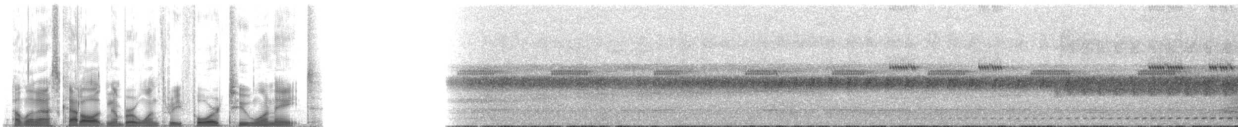 Сплюшка нагірна (підвид roraimae) - ML134218