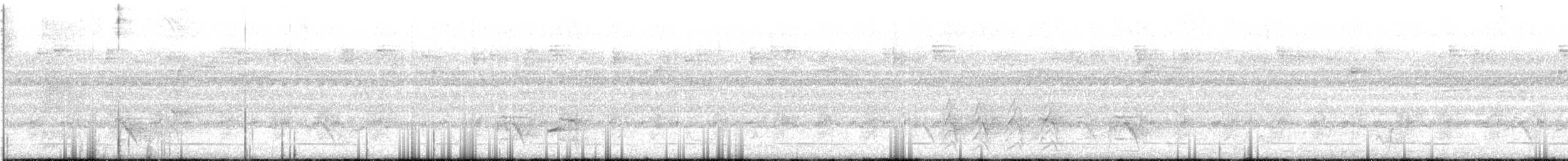 Velvet-mantled Drongo (Fanti) - ML134218621