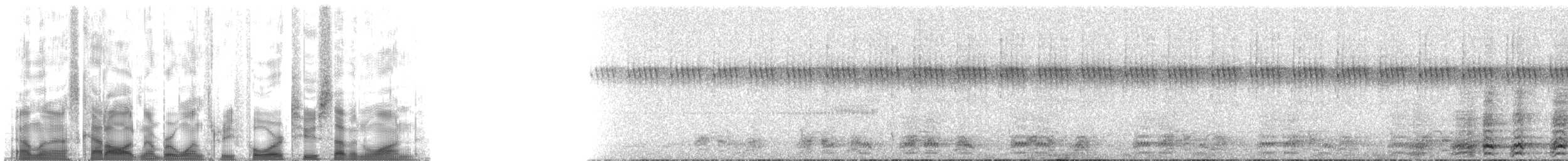 カワリヒメシャクケイ - ML134271