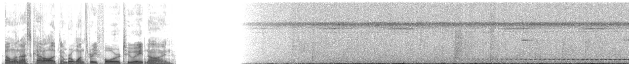 Рораймская совка (roraimae) - ML134289