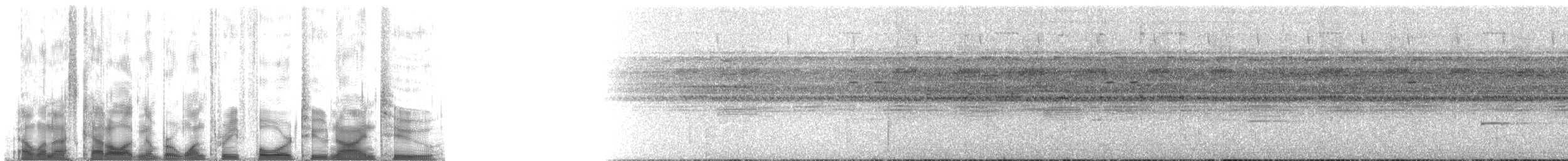 Рораймская совка (roraimae) - ML134292