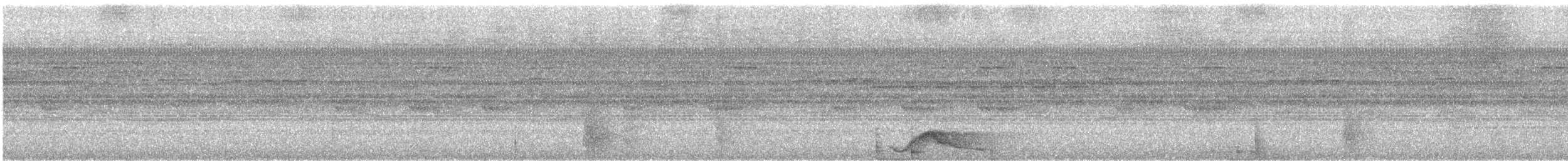 Pauraquenachtschwalbe - ML134292081
