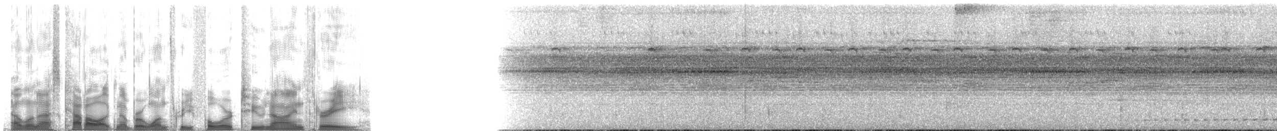 Рораймская совка (roraimae) - ML134293