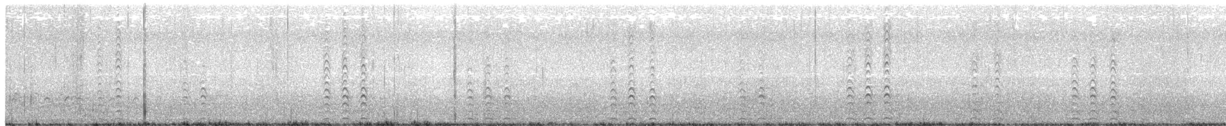 Атлантическая чайка - ML134299211