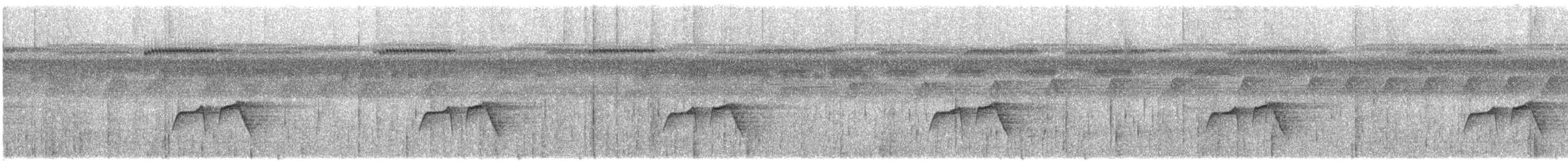 Мурав’янка-куцохвіст цяткована - ML134317461