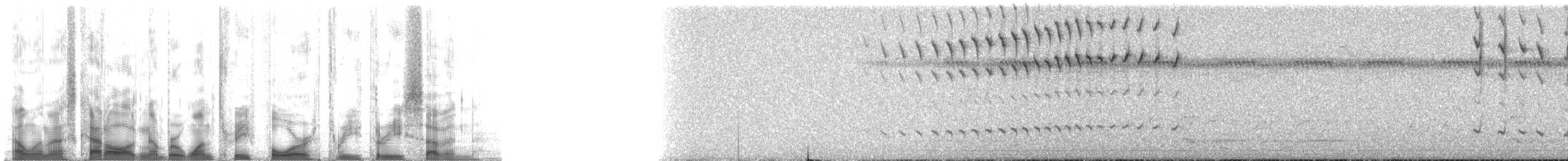 Зелёнохвостый колибри - ML134337