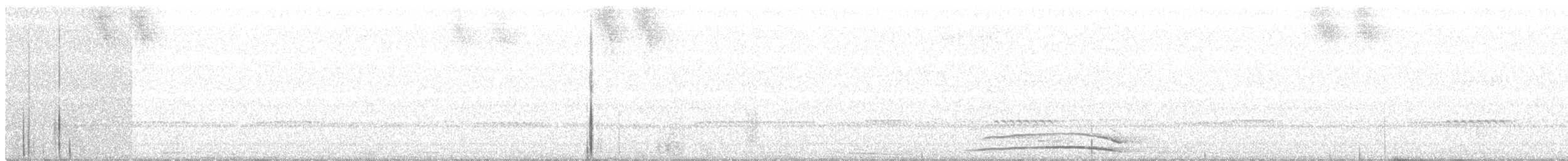 Сова-лісовик [неописана форма хмарного лісу] - ML134376161