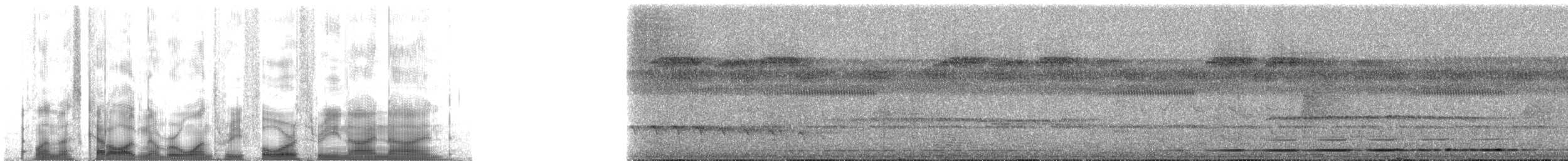 brunryggmaurpitta - ML134399