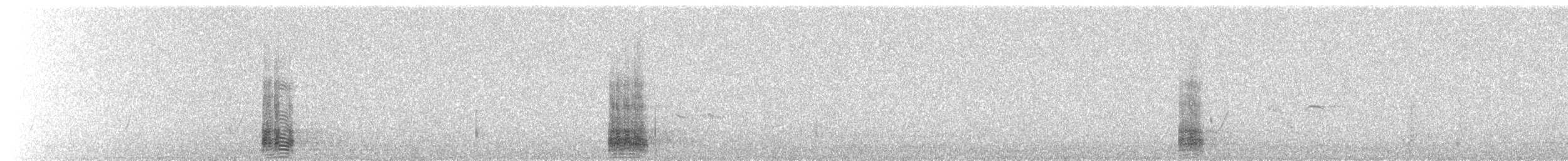 Ibis à cou noir - ML134400091