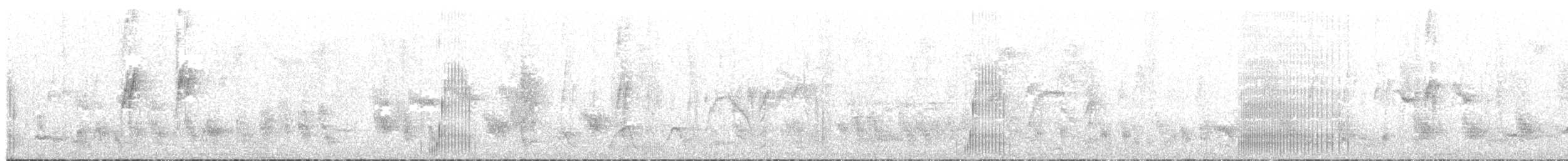 holoubek skřehotavý - ML134426171