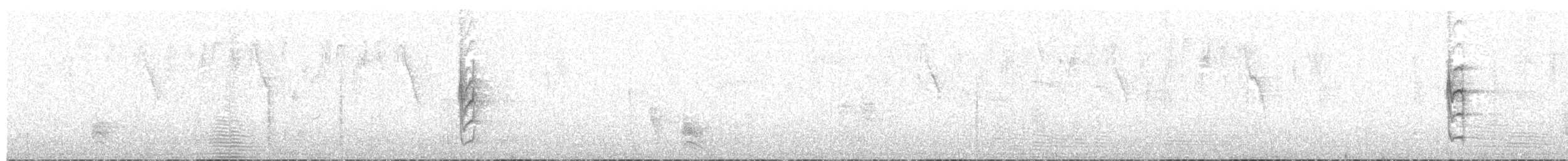 Weißkronentyrann - ML134431221