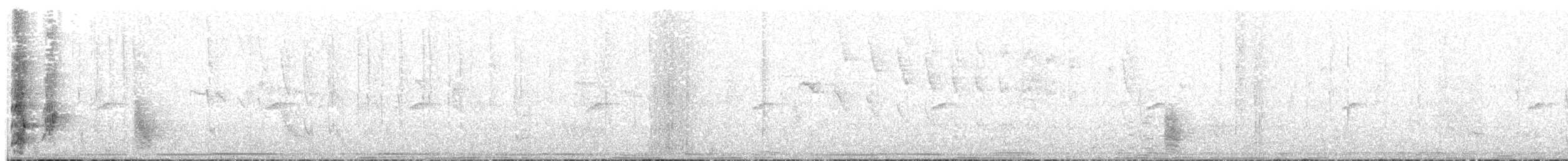White-tailed Jay - ML134431651