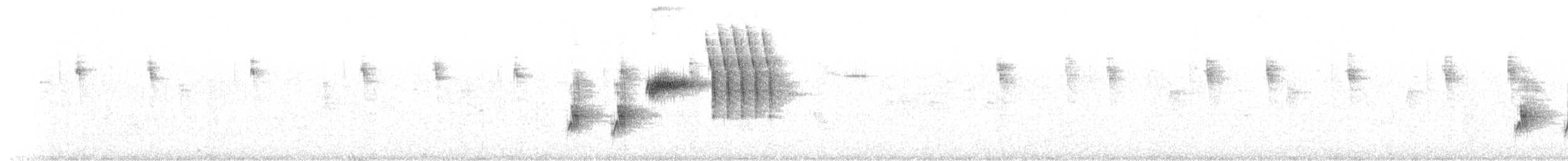 Тауї плямистий (підвид macronyx) - ML134438731