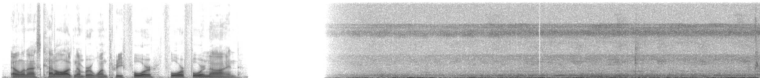 Olivaceous Schiffornis - ML134449