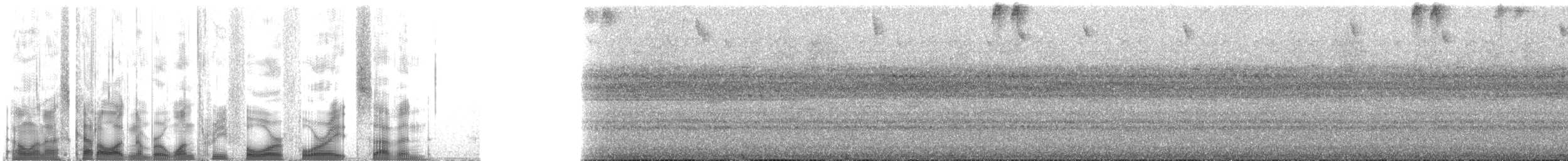 Рораймская совка (roraimae) - ML134487