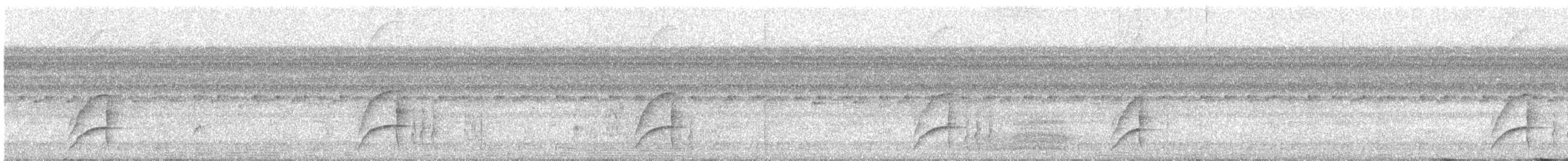 Blaustirn-Glanzvogel - ML134505201
