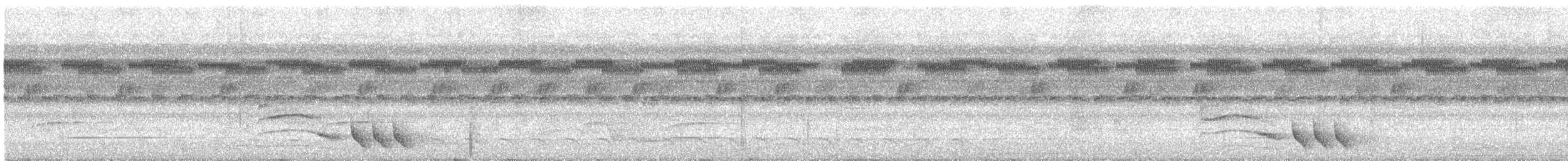 Усатый крапивник - ML134505251