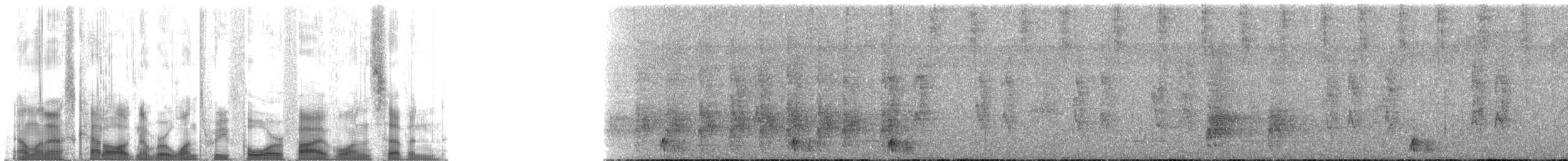 Band-tailed Antshrike - ML134517