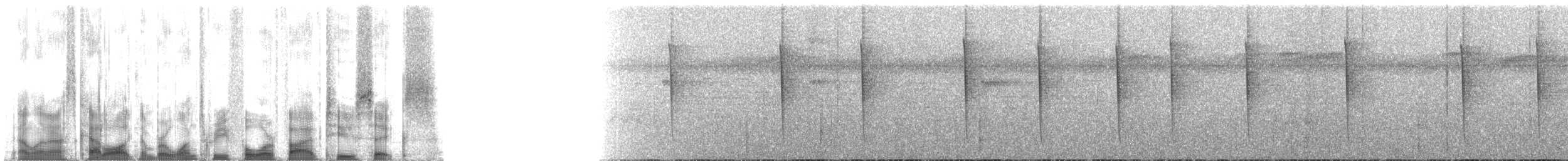 Graubrust-Degenflügel (largipennis) - ML134526