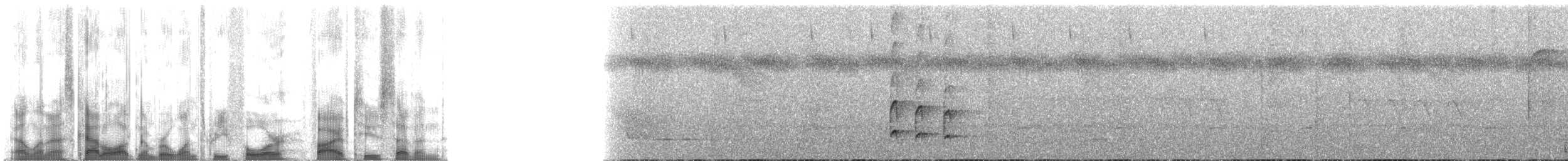 Grauwangen-Todityrann - ML134527