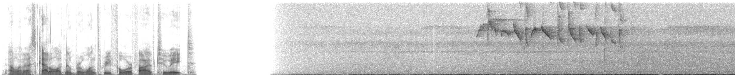 Ak Kuyruklu Sakallı Hermit - ML134528