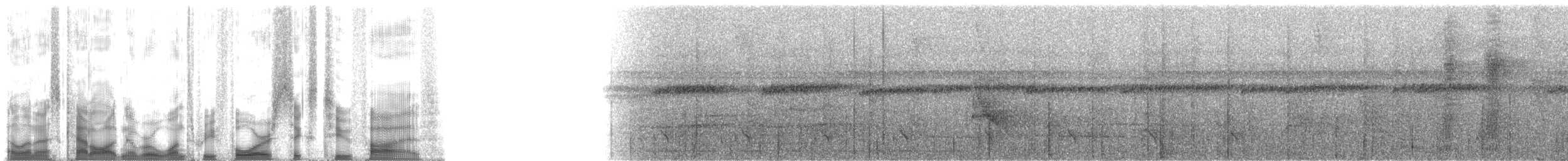 Schwarzschnabel-Pipratyrann (macconnelli) - ML134625